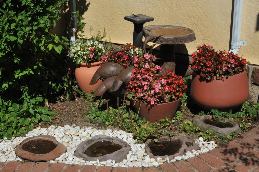 A Peaceful Retreat Bed & Breakfast Sandton Exterior foto
